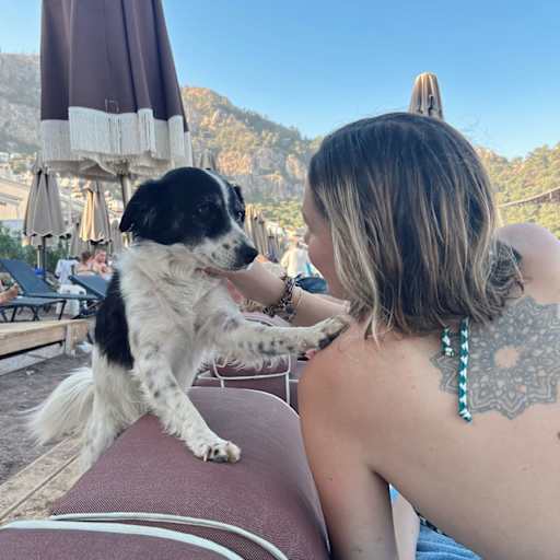 Profile image for pet sitter Caitlin