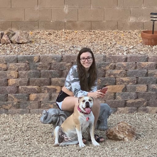 Profile image for pet sitter Ashley