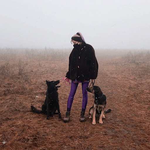 Profile image for pet sitters Alexandra & Radu