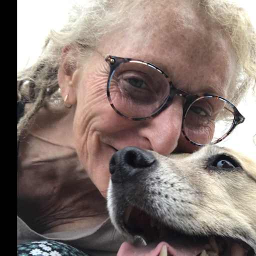 Profile image for pet sitter Ingrid