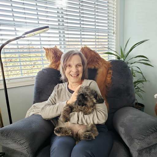 Profile image for pet sitter Claudia
