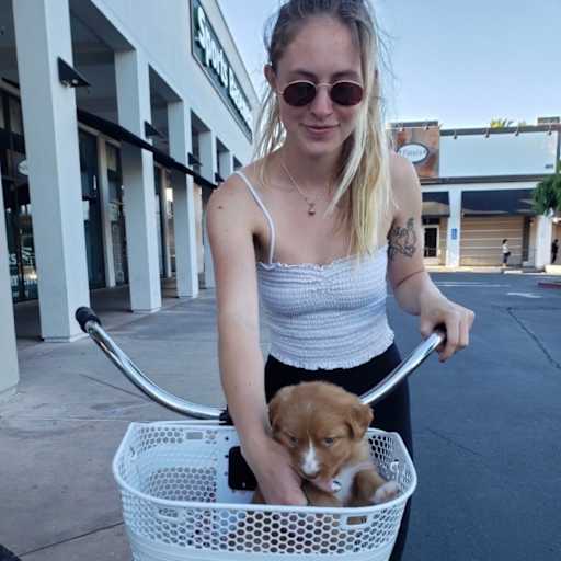 Profile image for pet sitter Taylor