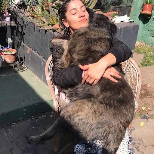Profile image for pet sitter Yei