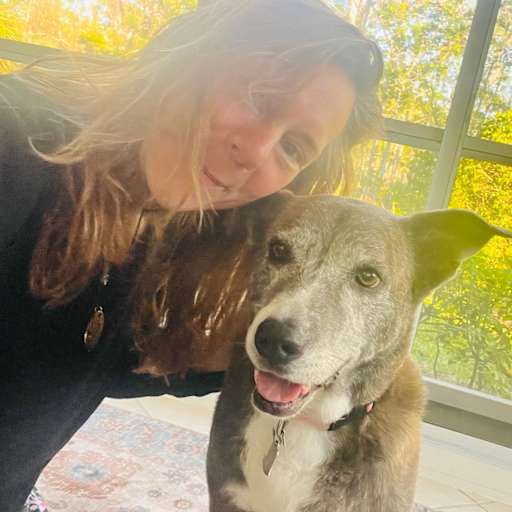 Profile image for pet sitter Blossom