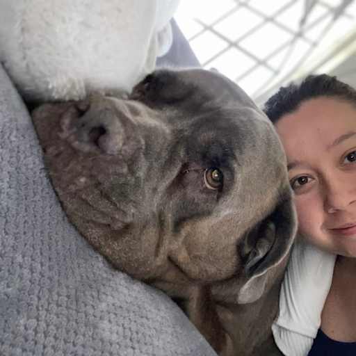 Profile image for pet sitter Maria Camila