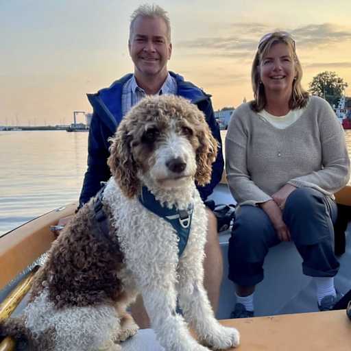 Profile image for pet sitters Cecilia & Johan