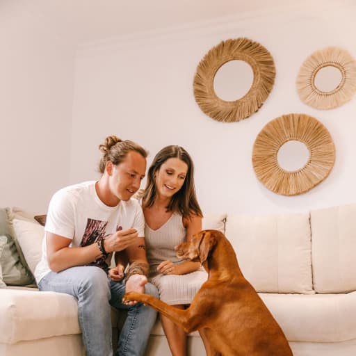 Profile image for pet sitters Amber & Thomas