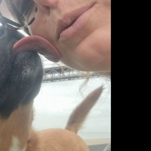 Profile image for pet sitter Anke