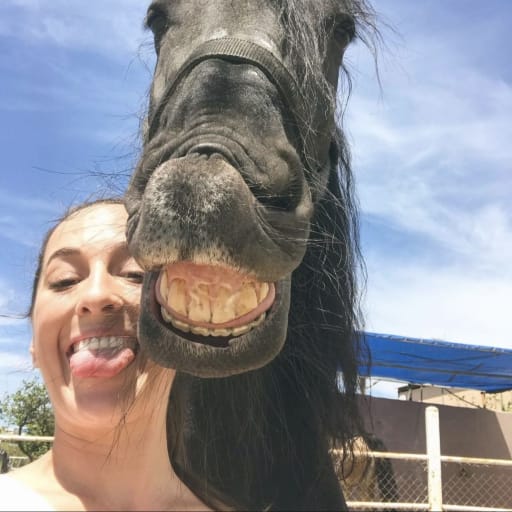 Profile image for pet sitter Paula