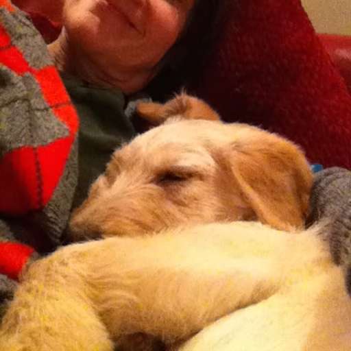 Profile image for pet sitter Johanna