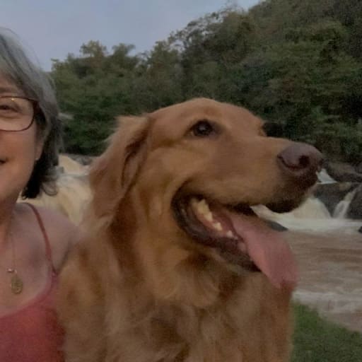 Profile image for pet sitter Rosangela