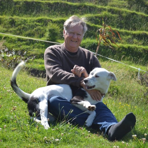 Profile image for pet sitters Jane & Andrew