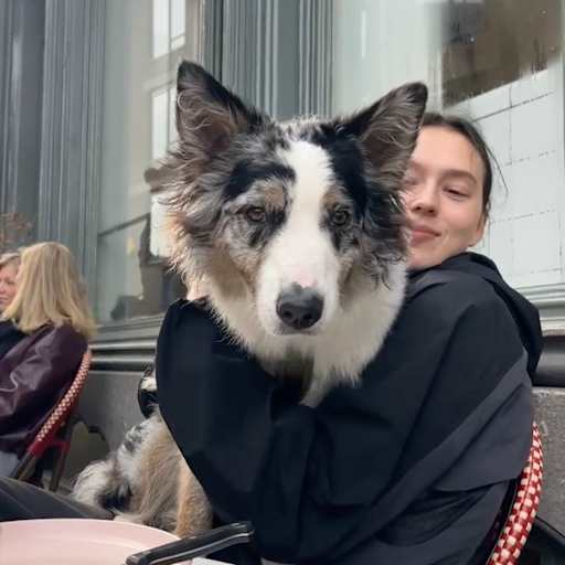 Profile image for pet sitter Moï