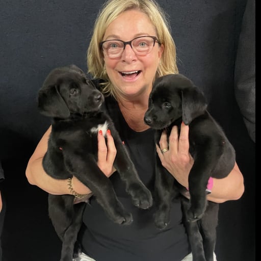 Profile image for pet sitter Dawn