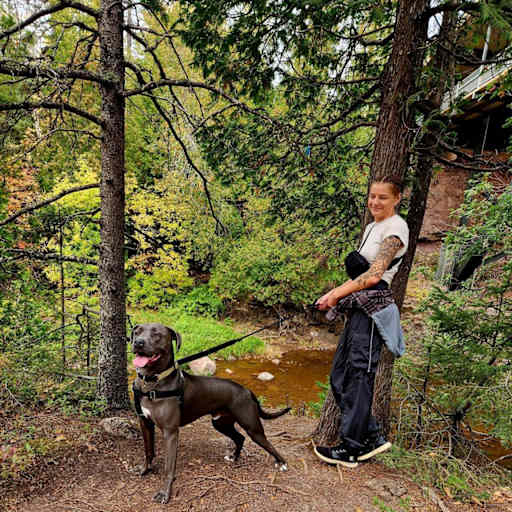 Profile image for pet sitter Alissa
