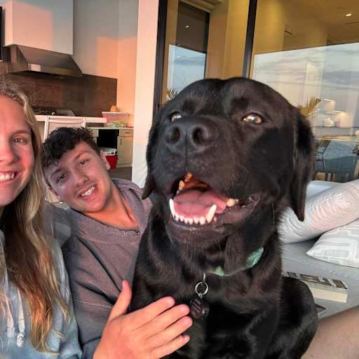 Profile image for pet sitters Jenna & Christopher