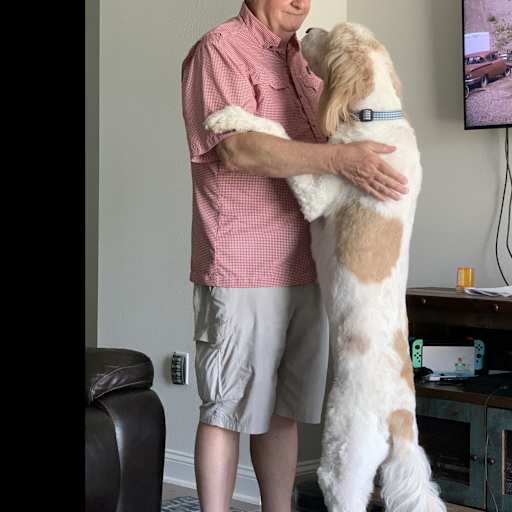 Profile image for pet sitter Jeffrey