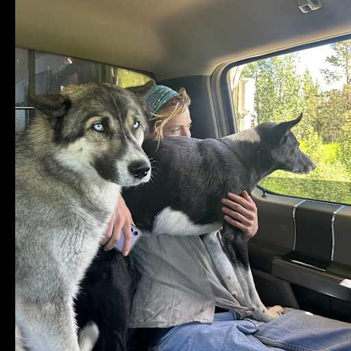 Profile image for pet sitter ellie