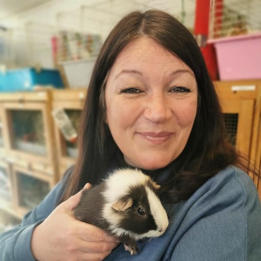 Profile image for pet sitter Jo