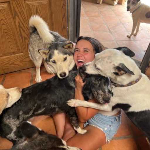 Profile image for pet sitter Courtney