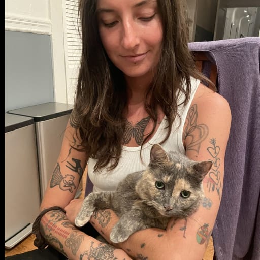 Profile image for pet sitter Amelia