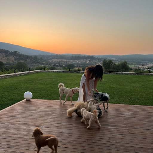 Profile image for pet sitter Elif