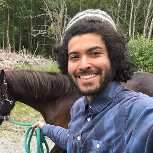 Profile image for pet sitter Christophe