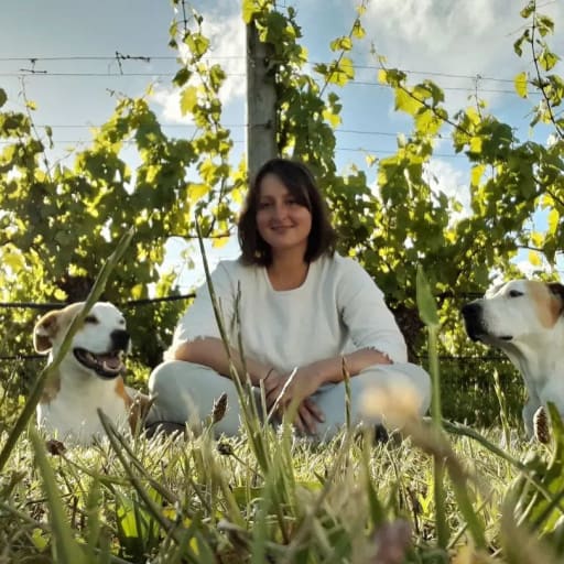 Profile image for pet sitter Amber