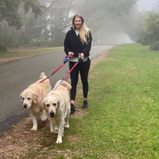 Profile image for pet sitters Allan & Christine