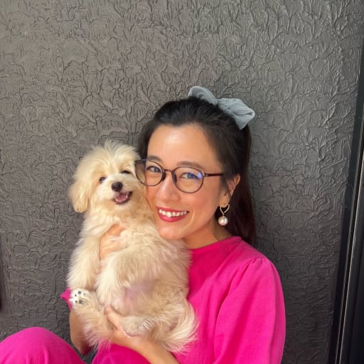 Profile image for pet sitter CHIHARU