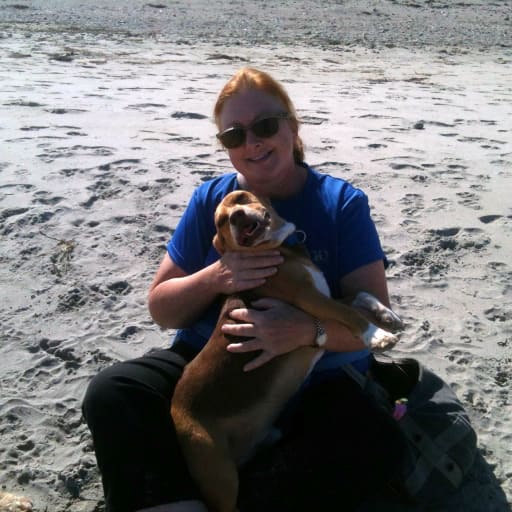 Profile image for pet sitter carol