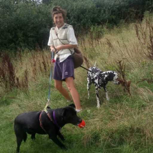 Profile image for pet sitters Jordan & Boris