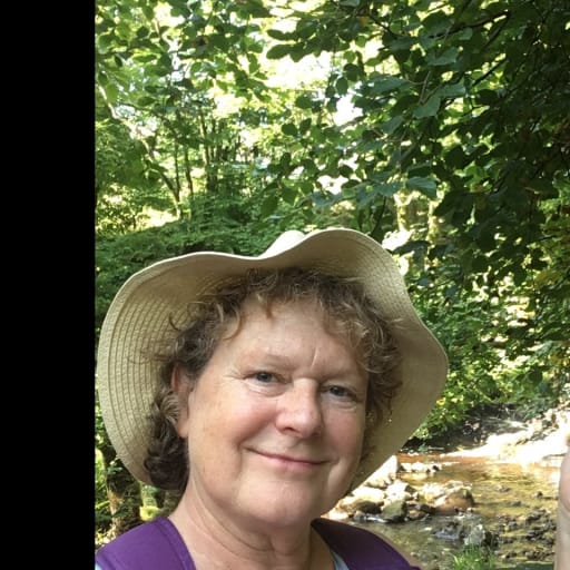 Profile image for pet sitter Helen