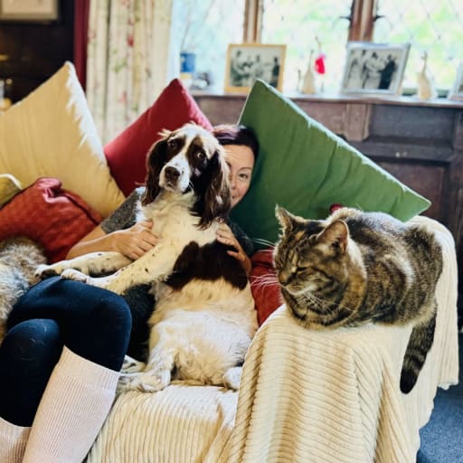 Profile image for pet sitter Sara