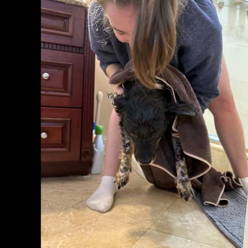 Profile image for pet sitter Cassandra