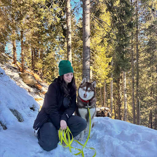 Profile image for pet sitter susanna