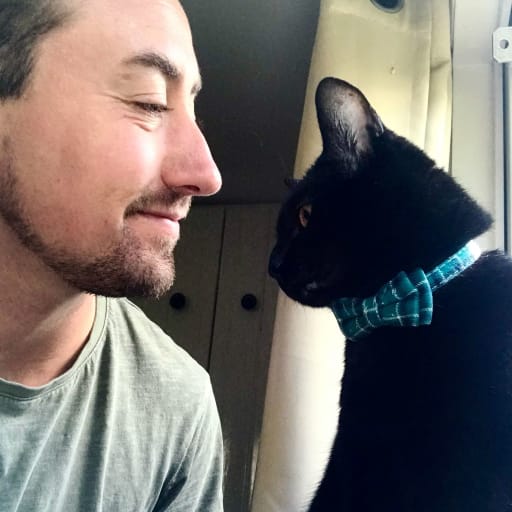 Profile image for pet sitter Dylan