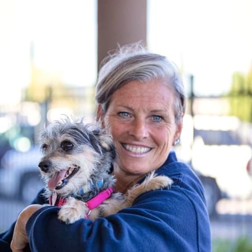 Profile image for pet sitter Denise