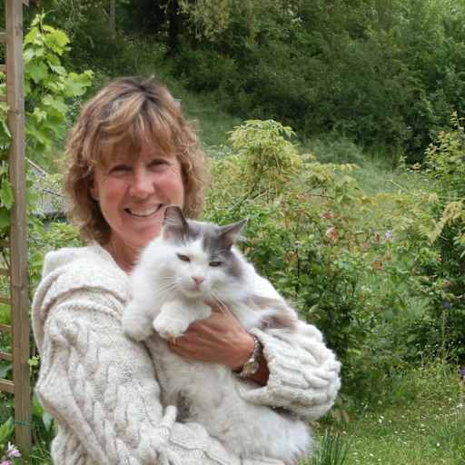 Profile image for pet sitters David & Lesley