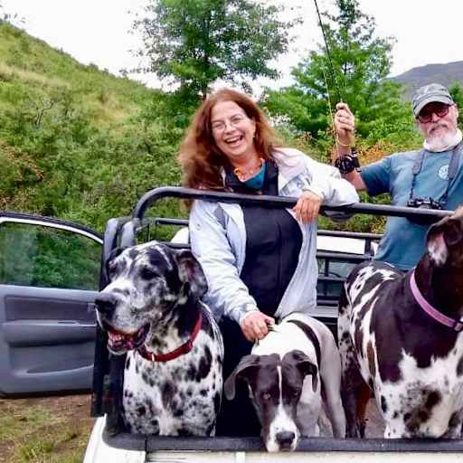 Profile image for pet sitters Kate & David