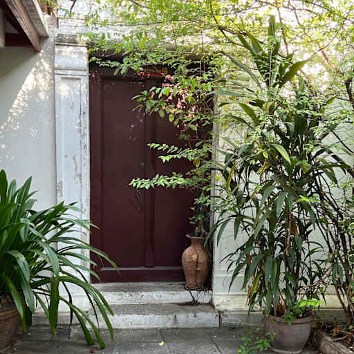 Profile image for pet sitter juliette