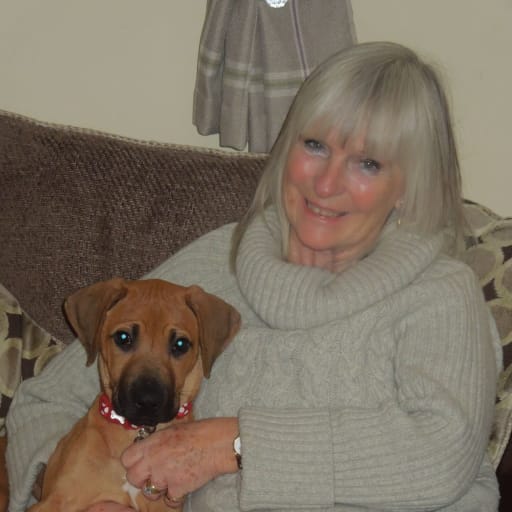 Profile image for pet sitters Mary & Tim