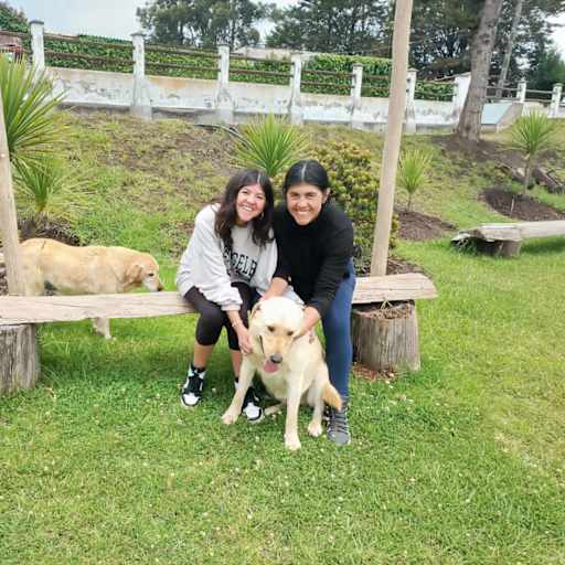Profile image for pet sitters Sara & Mary & Sara 