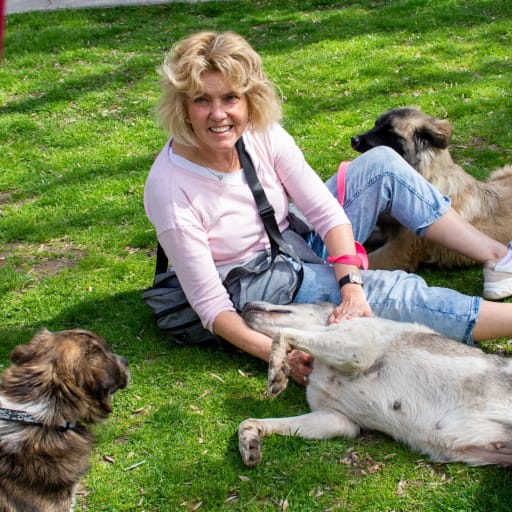 Profile image for pet sitter Karin