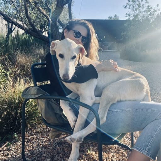 Profile image for pet sitter Charlotte