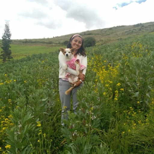 Profile image for pet sitter mary