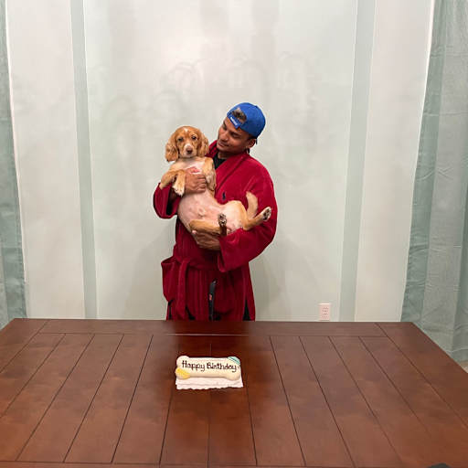 Profile image for pet sitter Nilosan