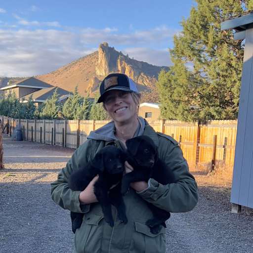 Profile image for pet sitter Tracey