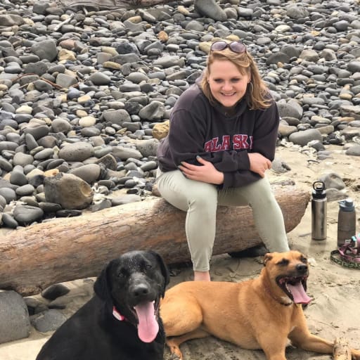Profile image for pet sitter Brittney