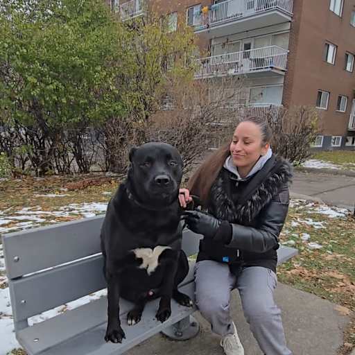 Profile image for pet sitter Ioni